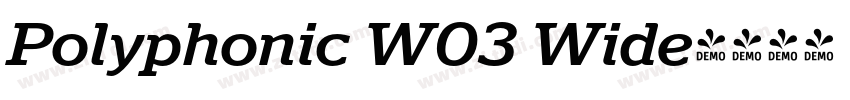 Polyphonic W03 Wide字体转换 Polyphonic W03 Wide字体转换